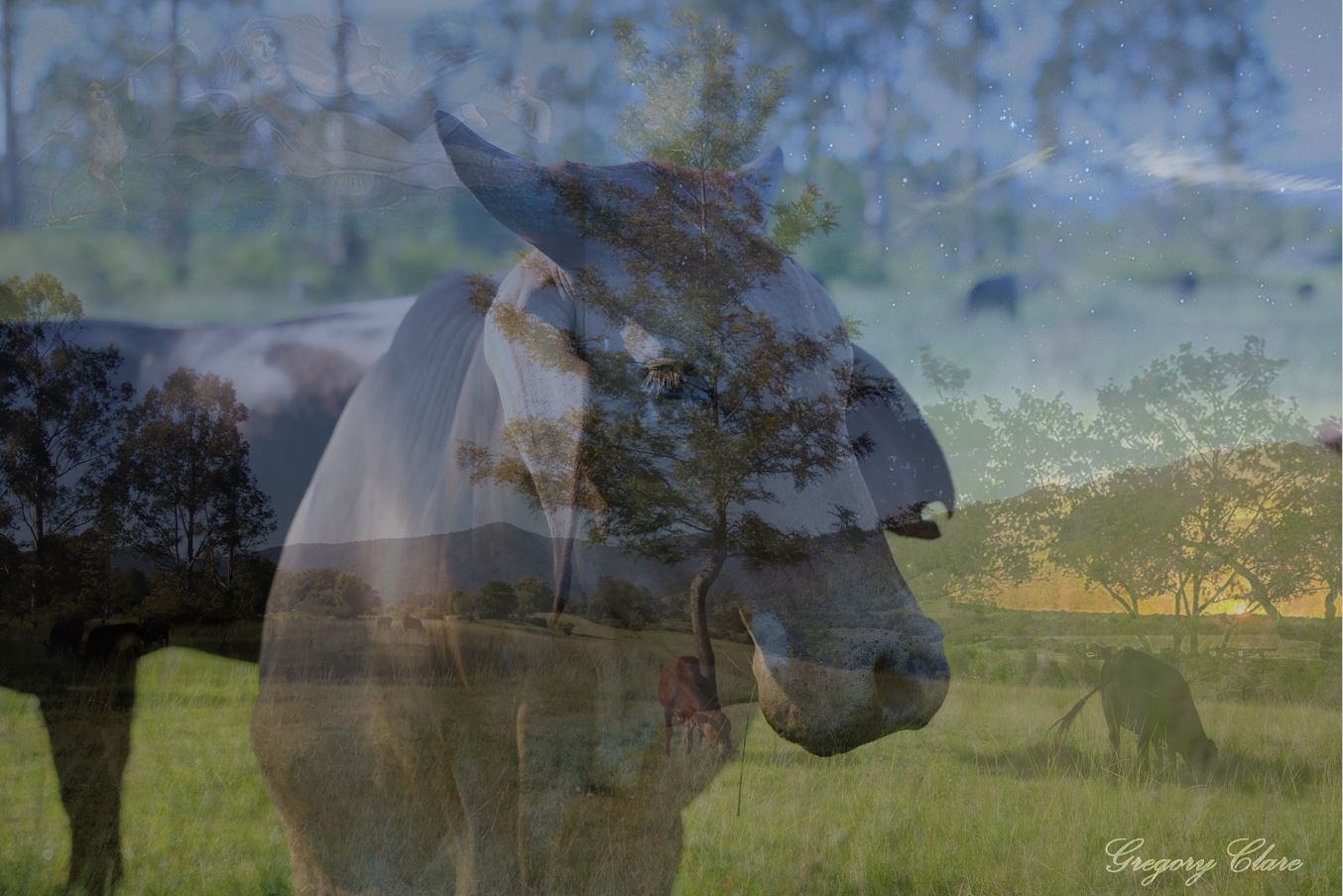 taurus_the_bull